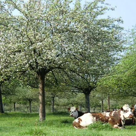 La Bergerie Holiday home Cambremer