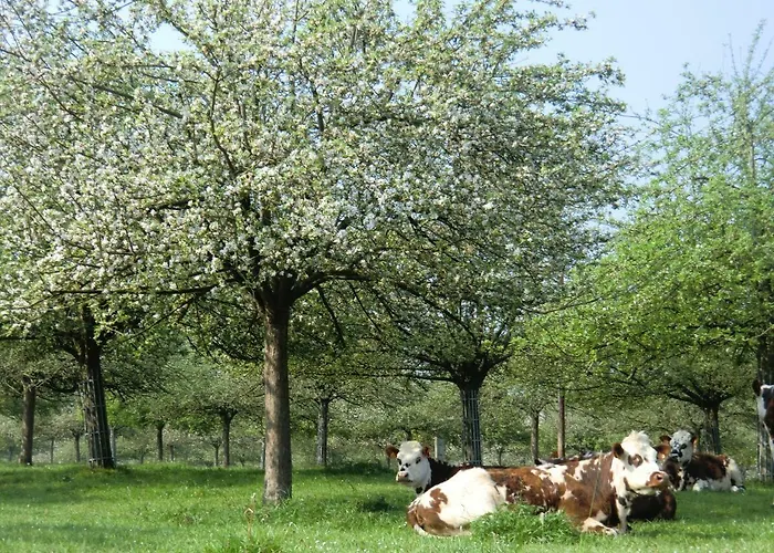 La Bergerie Nyaraló Cambremer